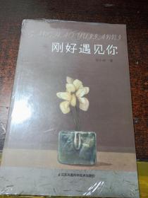 刚好遇见你【未拆封】