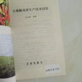 天鹰椒高效生产技术问答