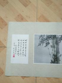 新竹高于旧竹枝（中国画）