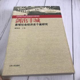 剑出丰城:县域社会经济史个案研究