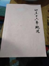 山东十六市概况（济南市、青岛市、东营市、德州市、济宁市、泰安市、临沂市、潍坊市、日照市、淄博市、滨州市、菏泽市、威海市、烟台市、枣庄市、聊城市）