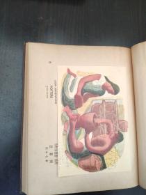精装：英国版画集（1947年初版  开封山河书店经销章