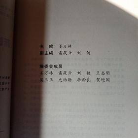 新疆优势产业知识产权战略