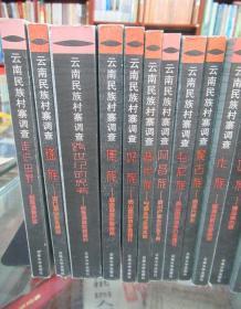 云南民族村寨调查：布朗族、纳西族、布依族、佤族、藏族、傈僳族、满族、白族、彝族、拉祜族、壮族、德昂族、基诺族、回族、水族、蒙古族、独龙族、阿昌族、普米族、怒族、傣族、瑶族、跨世纪的思考、走进田野（24本合售）详见描述