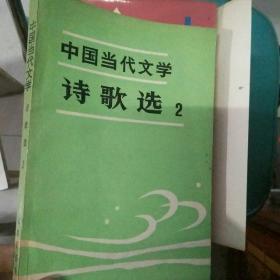 中国当代文学诗歌选2