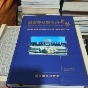 湖南开放型经济年鉴(2019年)