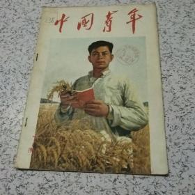 中国青年1957年第7期