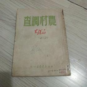 农村调查 1949年