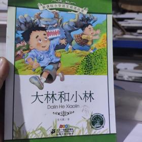 新课标小学语文阅读丛书 大林和小林（注音版）