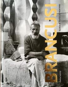 布朗库西画册 Brancusi : Au-delà de toutes les frontières