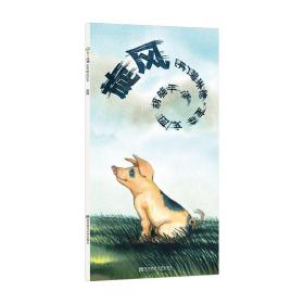 （引进绘本）东方娃娃世界精选绘本*旋风