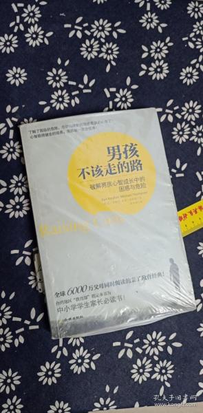 男孩不该走的路：破解男孩心智成长中的困惑与危险