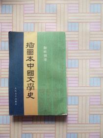 插图本中国文学史  4