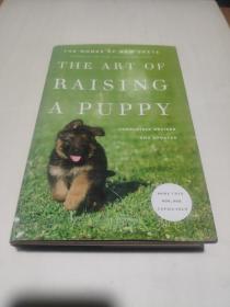 THE MONKS OF NEW

THE ART OF

RAISING

A PUPPY