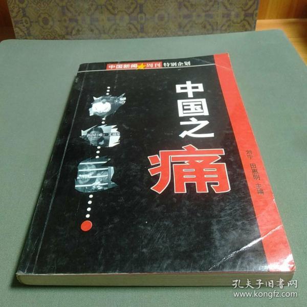 中国之痛(中国新闻周刊特别企划)