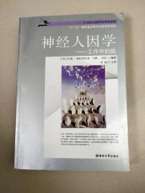 神經(jīng)人因?qū)W：工作中的腦（庫存）