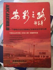 安彩之路:一个国有企业实现跨越式发展的经济学分析