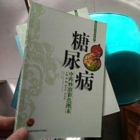 实用病症中药妙治丛书：糖尿病（中药妙治彩色图本）