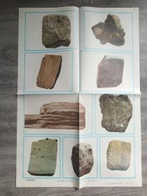 九年义务教育小学自然教学挂图 形形色色的岩石