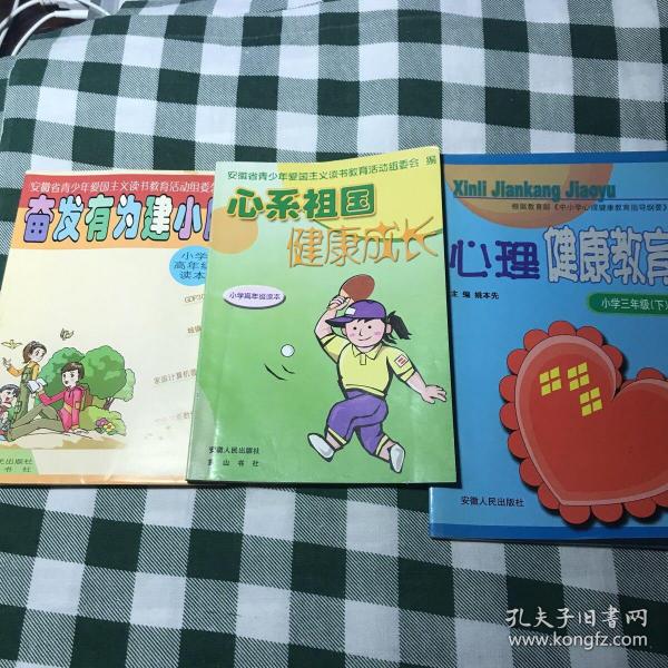 奋发有为建小康. 小学高年级读本