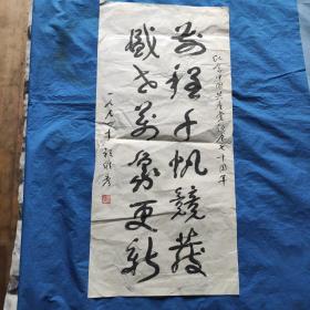 维秀书法