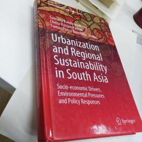 9783030237950 Urbanization and Regional Sustainability in South Asia