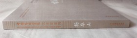 杨华山艺术