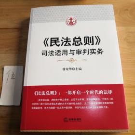 民法总则：司法适用与审判实务