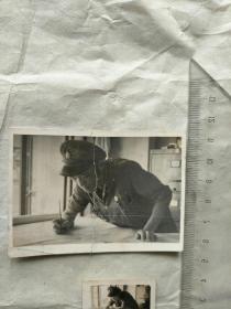四张尺寸不一五十年代邮局工作人员俯身工作照及骑自行车送邮件照片