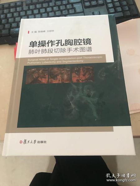 单操作孔胸腔镜肺叶肺段切除手术图谱