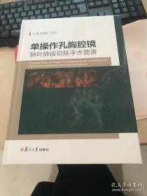 单操作孔胸腔镜肺叶肺段切除手术图谱