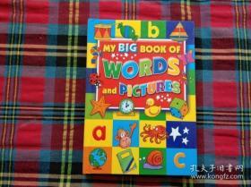 MY BIG BOOK OF WORDS and PICTURES