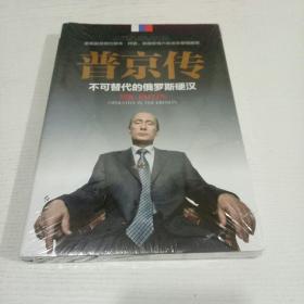 普京传：不可替代的俄罗斯硬汉