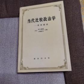 当代比较政治学 世界展望