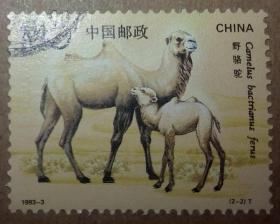 1993年 1993-2 野骆驼 2-2 信销 1 枚