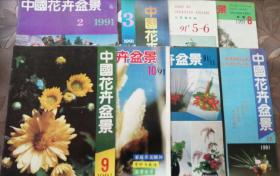 中国花卉盆景（91年2、3、5一6、8、9、10、11、12期）八本合售包邮