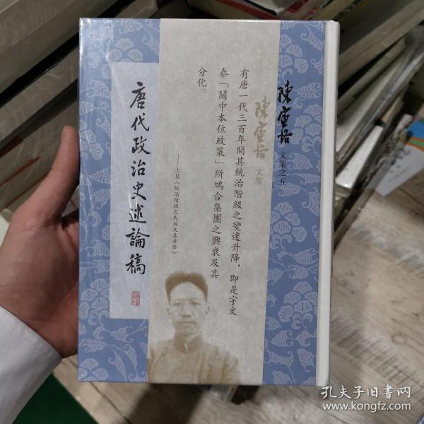 唐代政治史述论稿(陈寅恪文集)