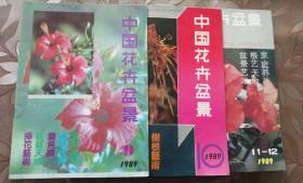 中国花卉盆景（89年9、10、11一12期）三本合售包邮