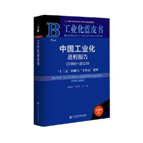 中国工业化进程报告（1995-2020）