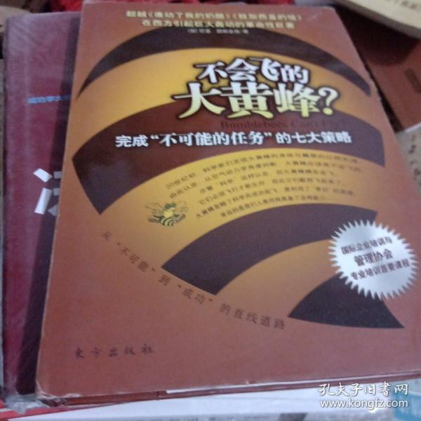 不会飞的大黄蜂？：完成“不可能的任务”的七大策略