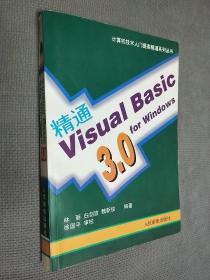 精通Visual basic 3.0 for windows，
1996一版二印