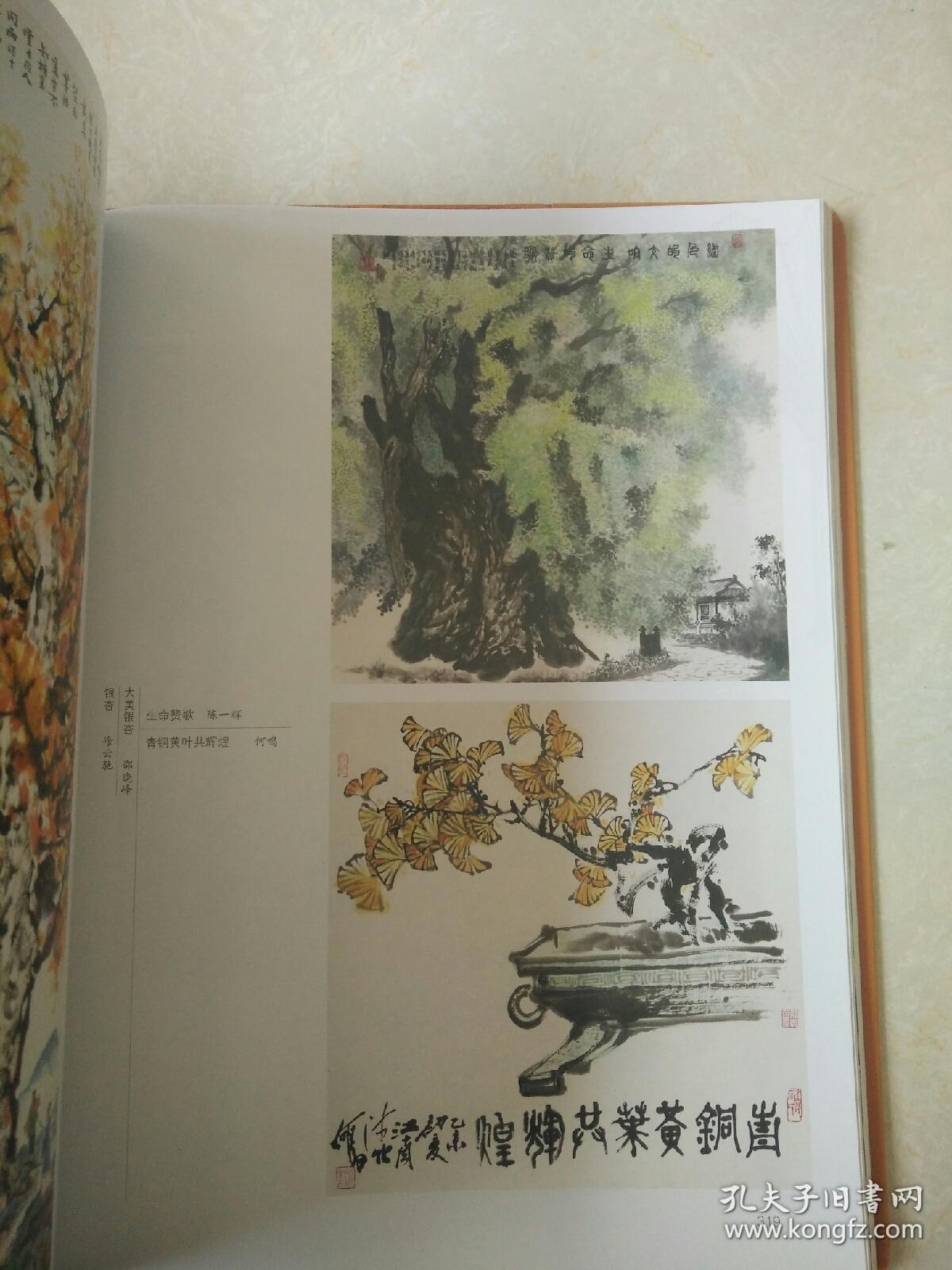 中华银杏文化大观-  包 邮）