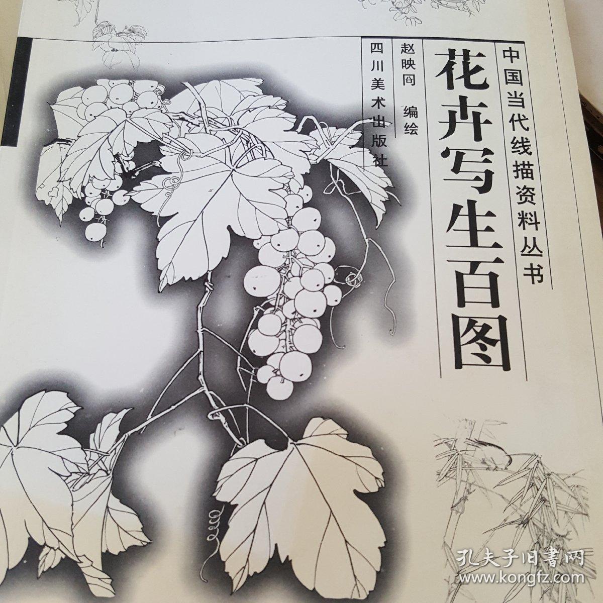 花卉写生百图——中国当代线描资料丛书