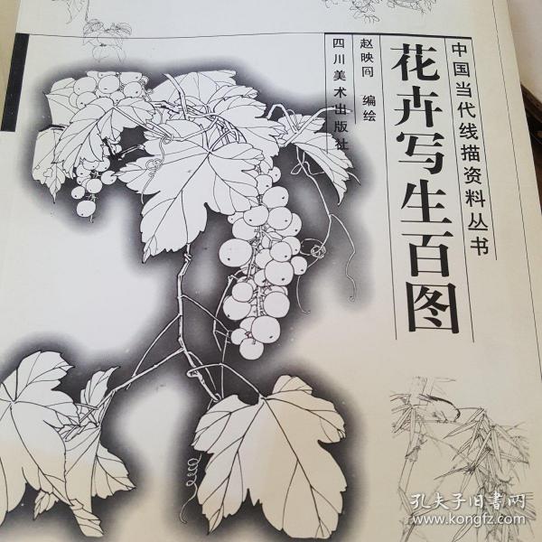 花卉写生百图——中国当代线描资料丛书