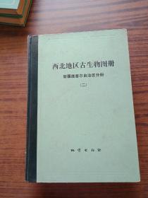 西北地区古生物图册新疆维吾尔自治区分册(二)晚古生代