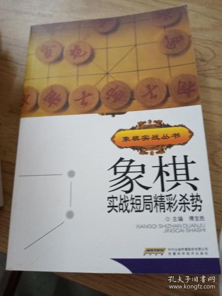 象棋实战短局精彩杀势