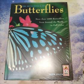 The World Encyclopedia of Butterflies 蝴蝶百科全书 英文原版精装大16开 实物图