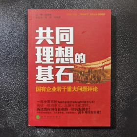 共同理想的基石：国有企业若干重大问题评论