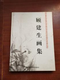 顾建生画集、作品集、画选、油画、画展、图录