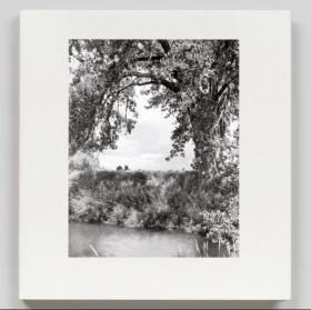 Robert Adams: Cottonwoods 罗伯特亚当斯: 白杨